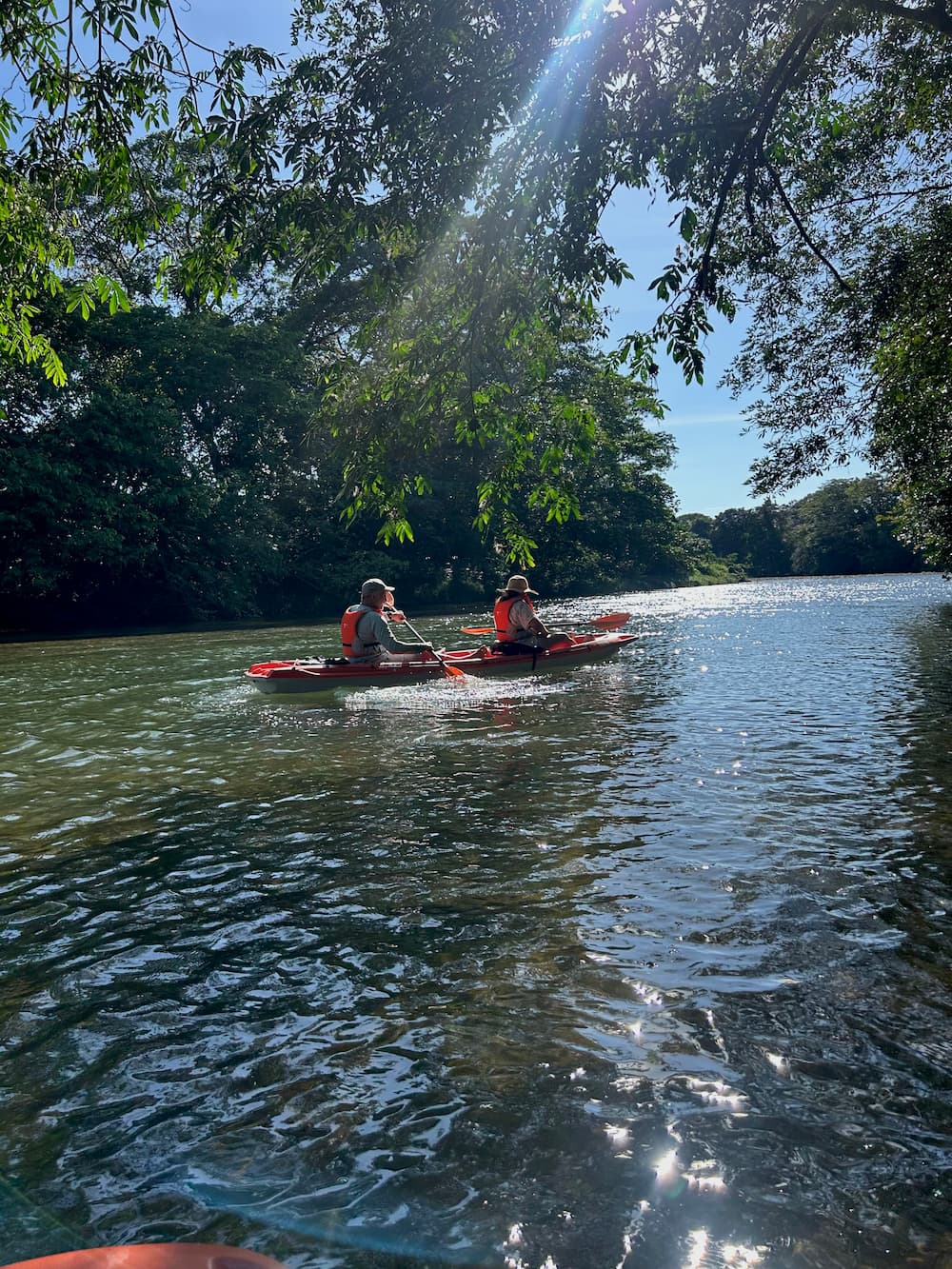 Kayaking in Mangroves